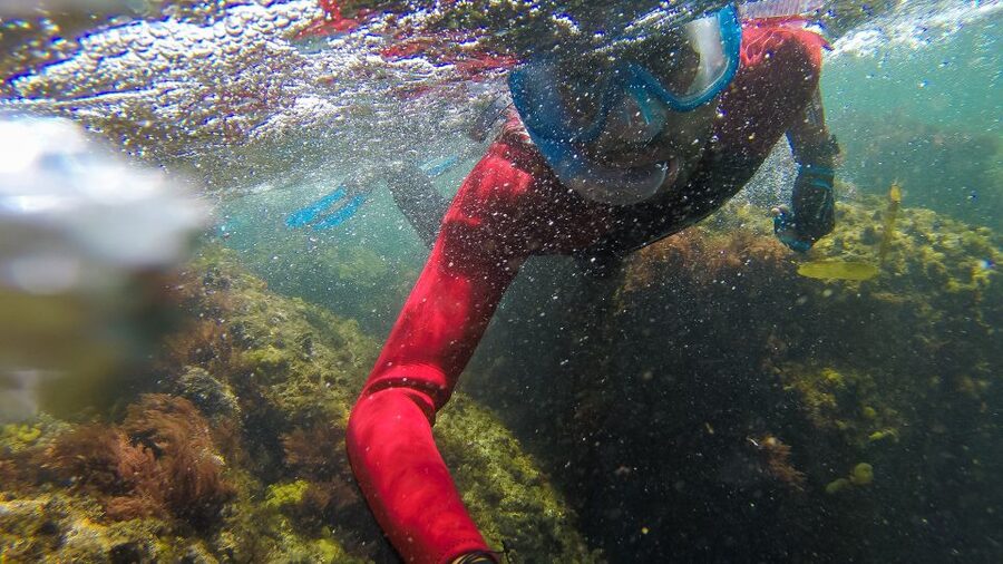 Lisbon: Snorkelling in Sesimbra/Arrábida Natural Park - How the 3 hours usually plays out (and why it feels balanced)