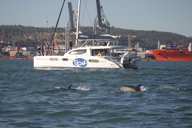 Lisbon: Sunset Cruise With Drinks on Spacious Yacht - Open Deck Comfort, Life Jackets, and Weather Reality