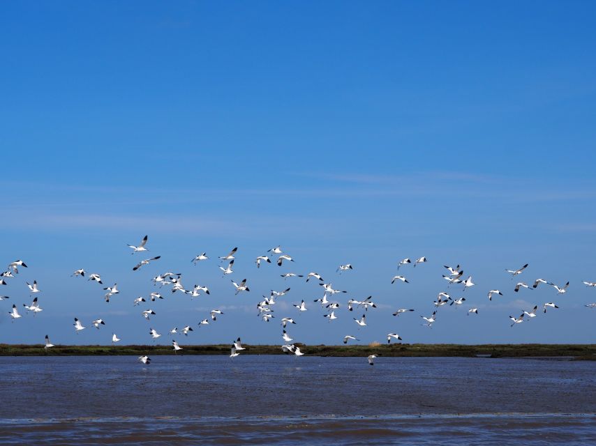 Lisbon: Tagus Estuary Nature Reserve Birdwatching Boat Tour - What to pack for a 3-hour Tagus cruise (and what you can leave at home)