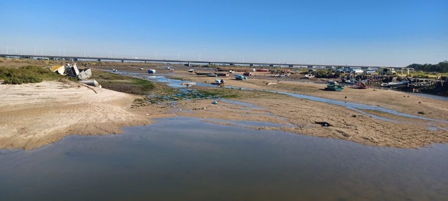 Lisbon: Tagus Estuary Nature Reserve Birdwatching Boat Tour - Price and value: why $58 feels fair for this birding time