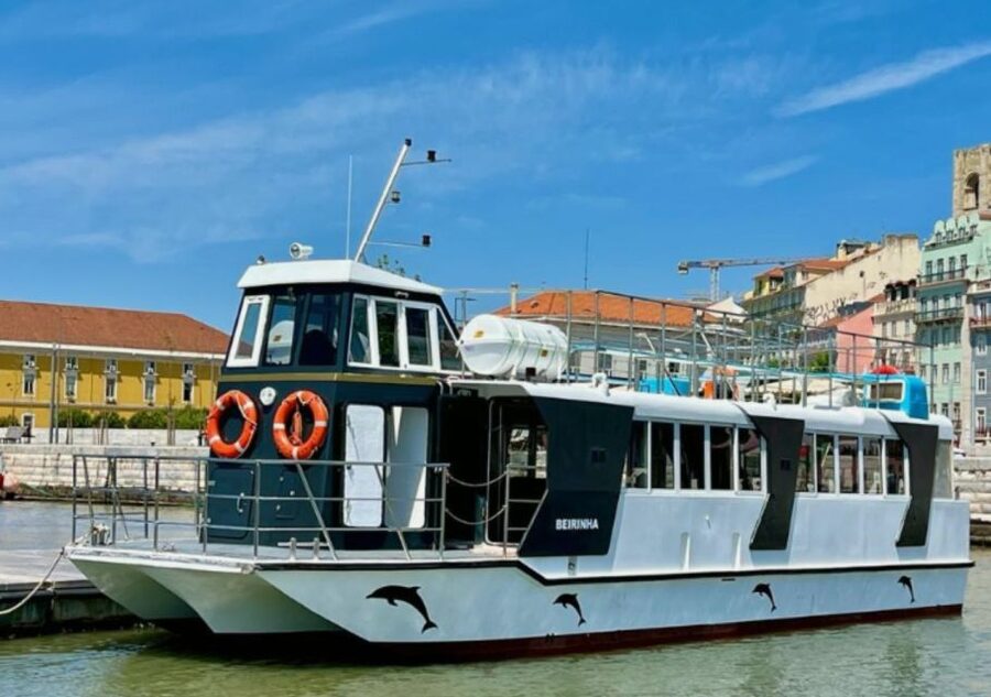 Lisbon: Tagus River Cruise to the Ocean & Dolphin Watching - Dolphins are wild, and the crew’s job is search and respect
