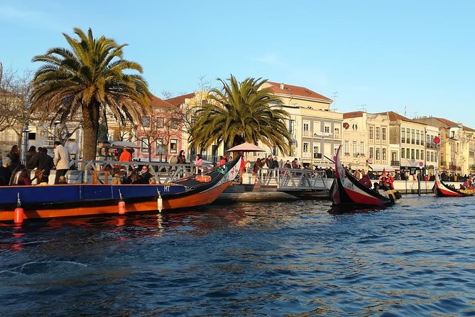 Lisbon to Porto Up to 4 Stops: Obidos, Nazare, Fatima and Aveiro - How to plan your day: timing, crowds, and food breaks