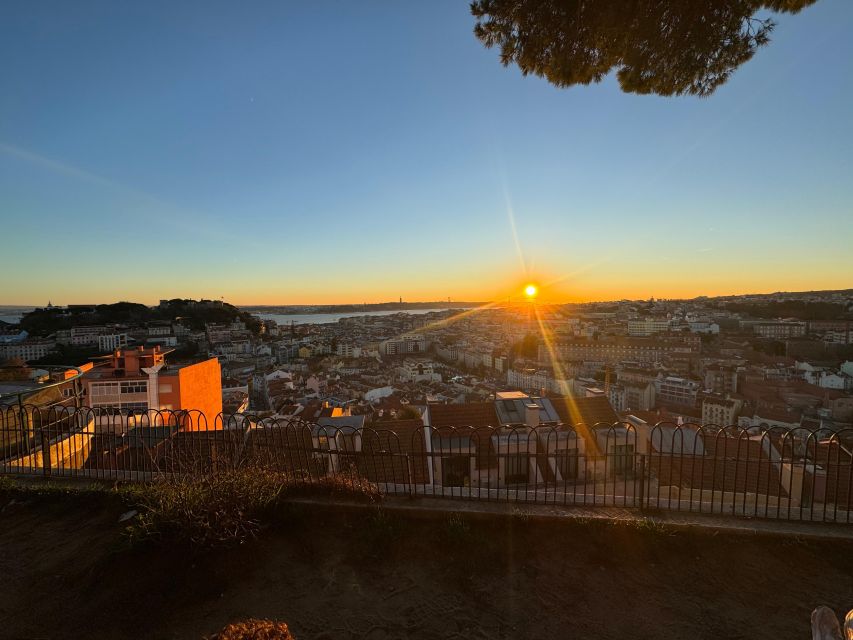 Lisbon: Tuk Tuk with hotel pick up and the best of old city - Miradouro de Santa Luzia: Where Your Camera Does the Talking