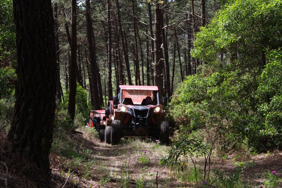 Nazaré: 4x4 Buggy Tour with Guide - Scenic Stops and Photo Breaks That Actually Work