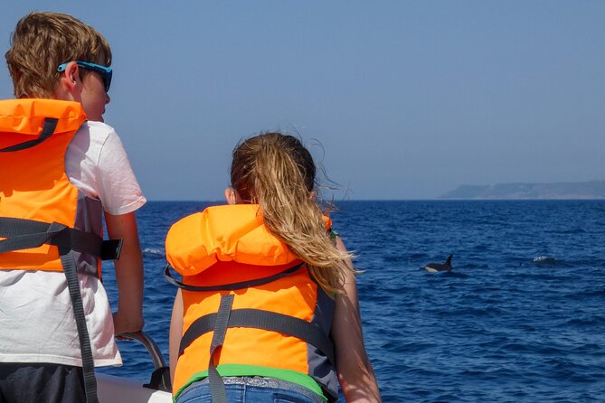 Observation of Dolphins and Whales with Marine Biologist in Arrábida - Should you book Observation of Dolphins and Whales with a Marine Biologist in Arrábida?