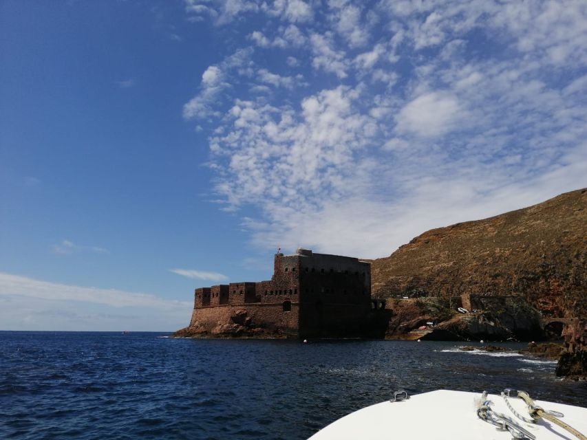 Peniche: Berlengas Island Round-Trip Ferry with Island Stop - Key highlights to know before you go