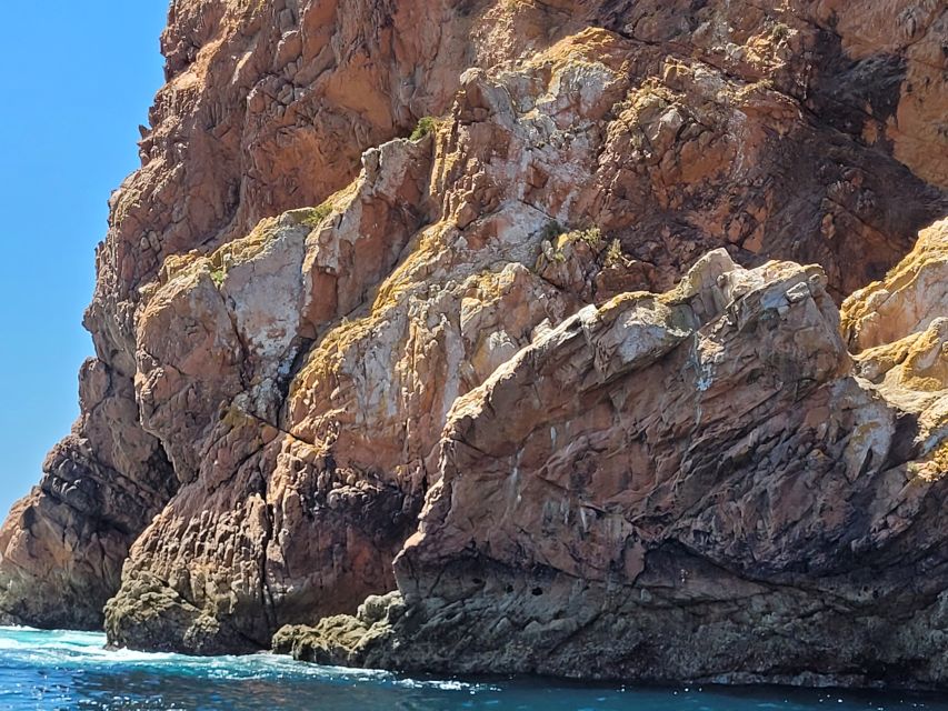 Peniche: Berlengas Island Round-Trip Ferry with Island Stop - Who should book this Peniche to Berlenga ferry, and who might not