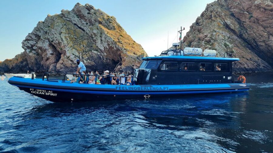 Peniche: Berlengas Island Trip, Hiking and Cave Tour - Price and Value: What $46 Buys You, Plus Small Extras