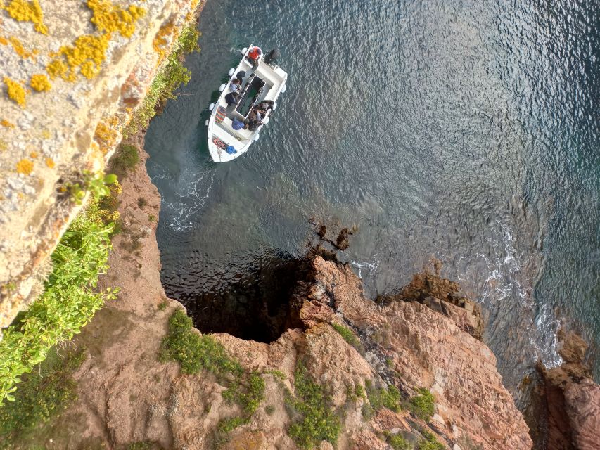 Peniche: Berlengas Roundtrip and Glass-Bottom Boat Cave Tour - My honest booking advice for Berlengas from Peniche