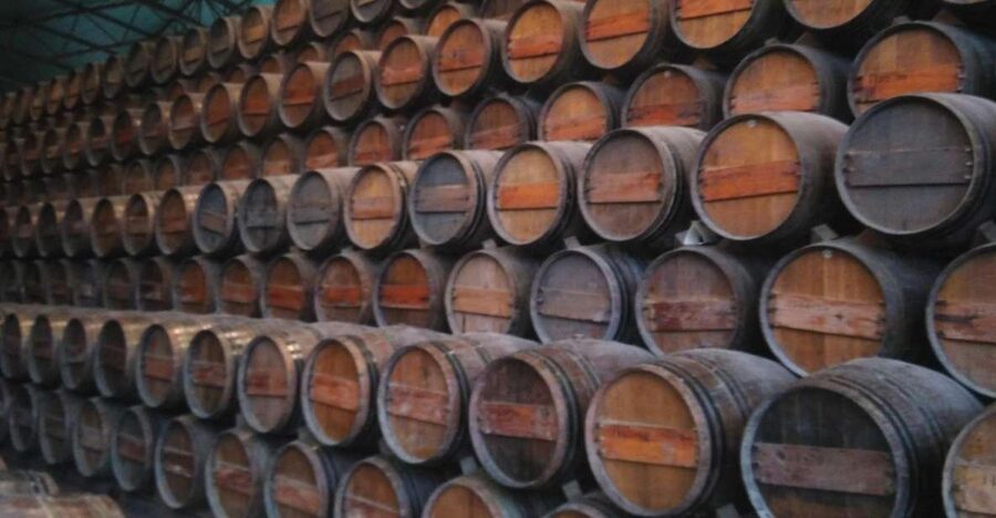 Portuguese Wine History & Amazing Landscape - Key highlights you should care about
