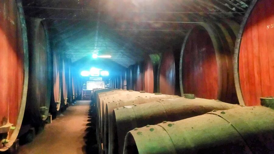 Portuguese Wine History & Amazing Landscape - Morning start from your hotel, then straight into Portuguese scale