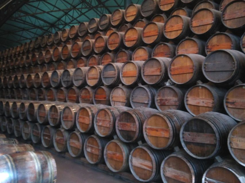 Portuguese Wine History & Amazing Landscape - Who should book this tour, and who should skip it