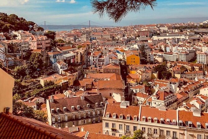 Private Food and Wine Tour: From Street to Gourmet - Miradouro Das Portas Do Sol and Alfama: Moorish Layers, Street Art, and Slow Looking