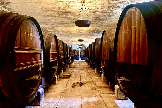 Private Lisbon-Arrábida Wine Tour: 3 Wineries, Coast & Heritage - Morning at Mercado do Livramento in Setúbal (Oysters, Tiles, and Fish Stalls)