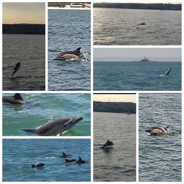 Private Lisbon Sightseeing Sailing Boat Tour with Locals - Where You Start: Gate 1 by Padrão dos Descobrimentos