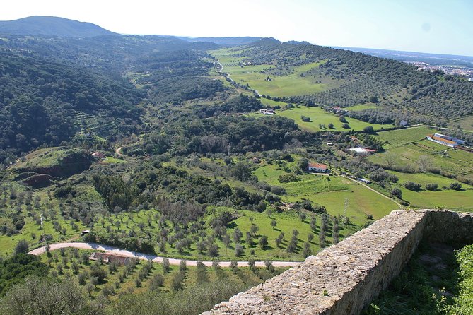 Private Wine Tasting in the Setúbal Wine Region, from Lisbon - From Lisbon to Setúbal, the ride that starts the day