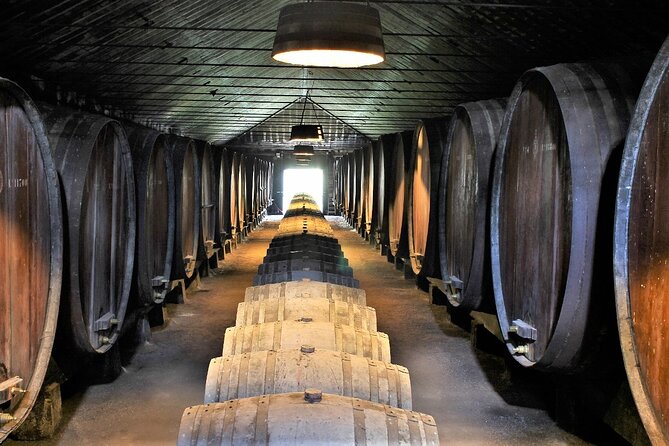 Private Wine Tasting in the Setúbal Wine Region, from Lisbon - Your Setúbal tasting lineup: what 7 to 10 wines usually feels like