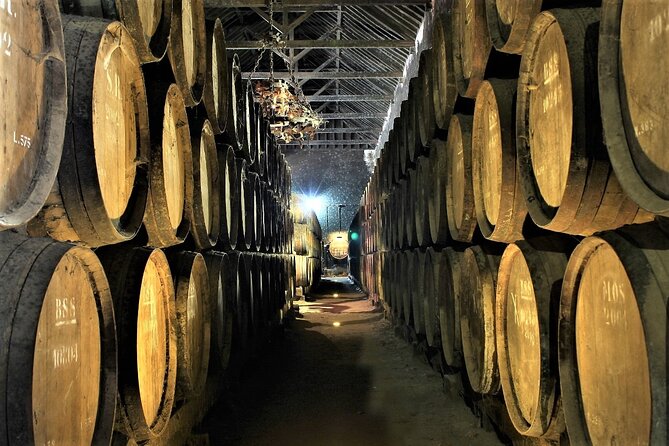 Private Wine Tasting in the Setúbal Wine Region, from Lisbon - Private by default: pickup, guide, and pacing that feels human