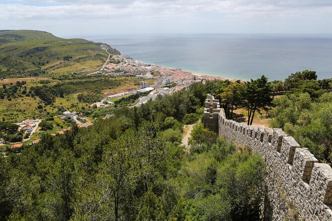 Sesimbra: Arrábida Dolphin and Whale Watching tour with biologist - Key things I’d plan for