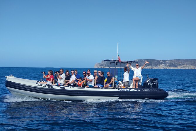 Sesimbra: Arrábida Dolphin and Whale Watching tour with biologist - Arrábida Maritime Park: why the wildlife rules make the difference