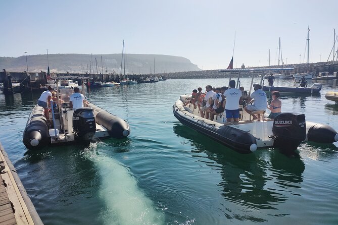 Sesimbra: Arrábida Dolphin and Whale Watching tour with biologist - Who should book, and who should think twice