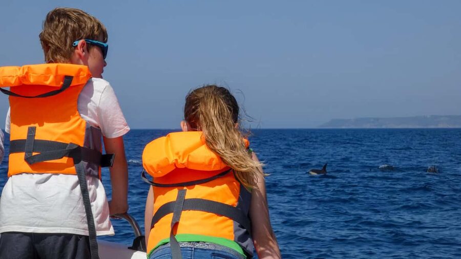 Sesimbra: Arrábida Dolphin Watching Boat Tour with Biologist - What to Bring for a 3-Hour Boat Ride in Sesimbra