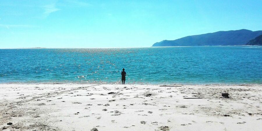 Sesimbra e Arrábida Natural Park: 1 Day Tour & Wine Tasting - Leaving Lisbon the Right Way: Ponte 25 de Abril and the Tejo Estuary