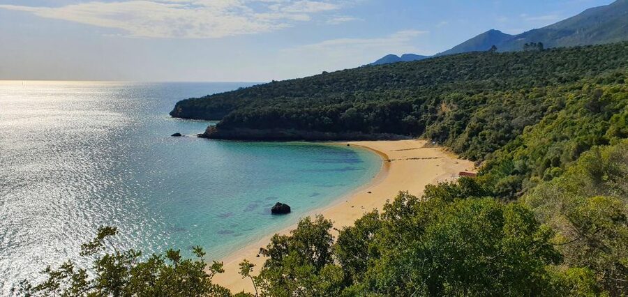 Sesimbra e Arrábida Natural Park: 1 Day Tour & Wine Tasting - Sesimbra Fishing Village and the Medieval Moorish Castle