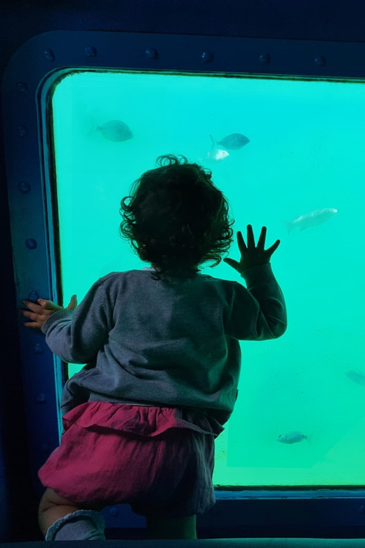 Sesimbra: Family Friendly Boat Sea Tour w/ Submarine Vision - Professor Luiz Saldanha Marine Park From the Surface Stops