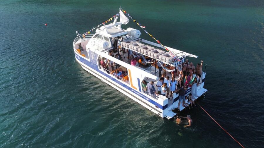 Sesimbra: Family Friendly Boat Sea Tour w/ Submarine Vision - Price and Value: What $34 Buys on the APNEA