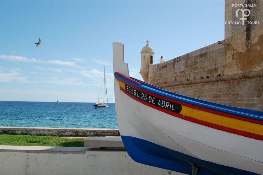 Sesimbra: Half-Day Tour to Arrabida with Wine Tasting - Porto Abrigo: see traditional fishing methods up close