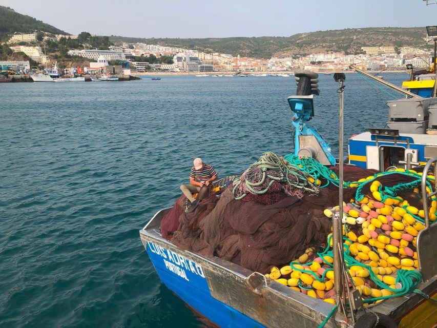 Sesimbra: Half-Day Tour to Arrabida with Wine Tasting - Castelo de Sesimbra walls: the 9th-century viewpoint payoff