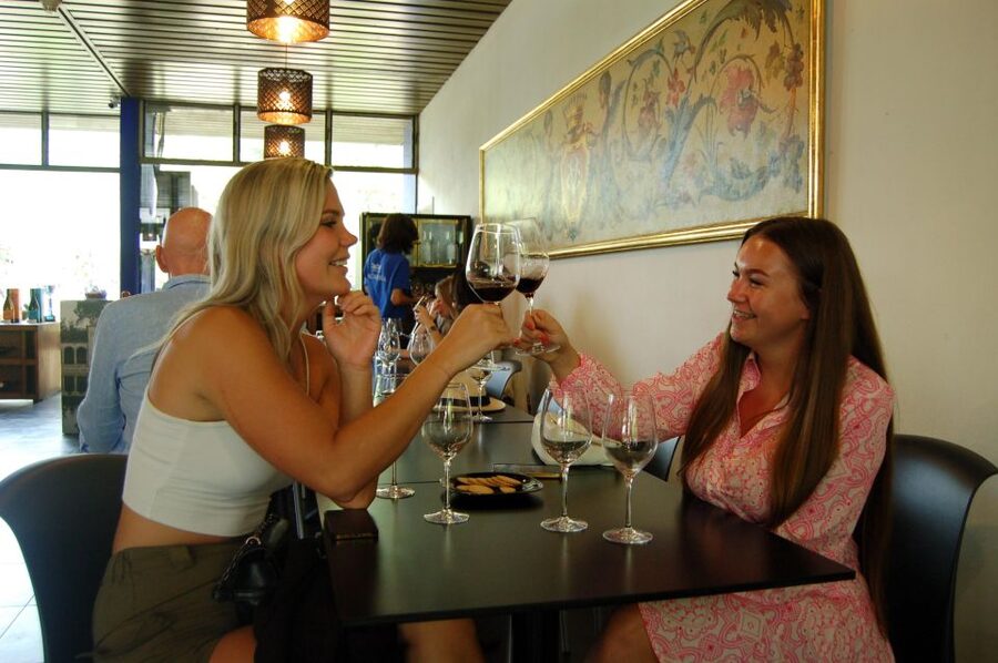 Sesimbra: Half-Day Tour to Arrabida with Wine Tasting - Arrábida Natural Park: scenic drive and the best places to breathe for a moment