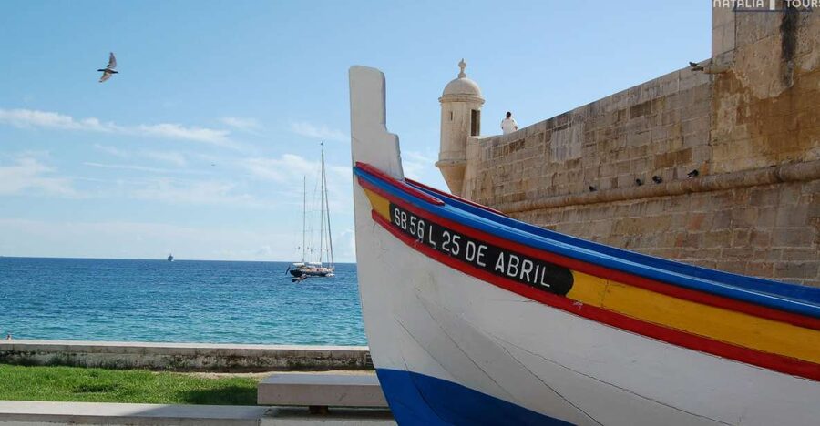 Sesimbra: Half-Day Tour to Arrabida with Wine Tasting - Pickup, vehicle comfort, and staying on schedule without feeling rushed