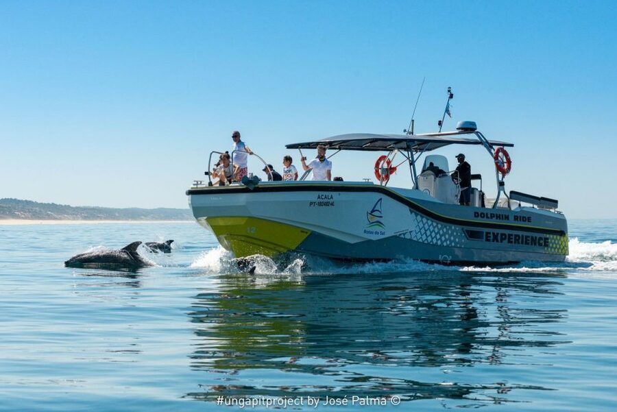 Setúbal: Dolphin-Watching Boat Tour - Key things you will notice on this tour