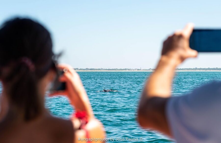 Setúbal: Dolphin-Watching Boat Tour - Arrábida’s beach lineup: why these turquoise stops are more than photo breaks