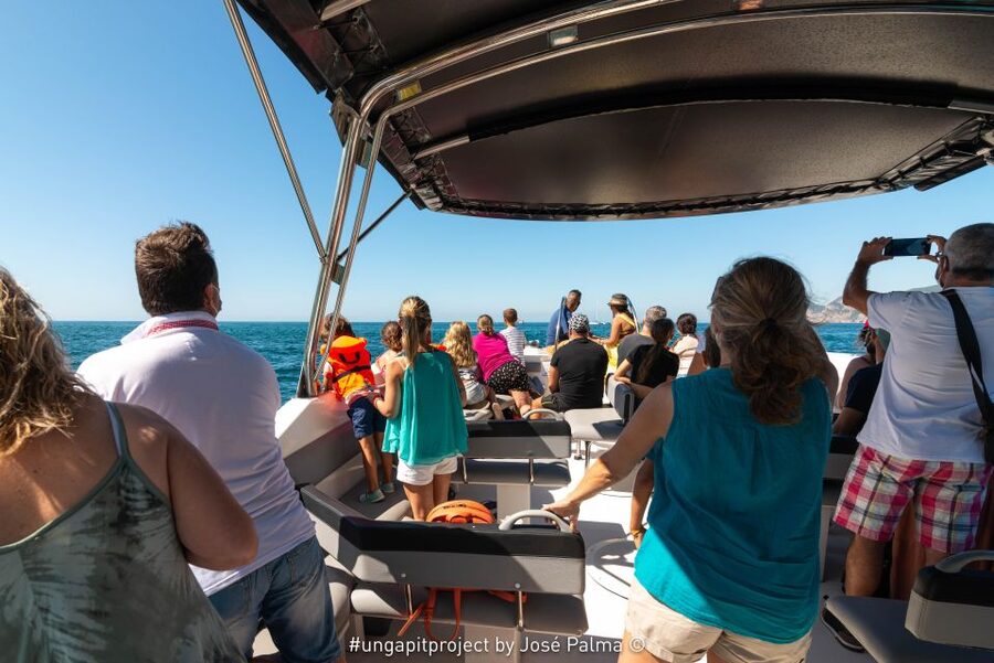 Setúbal: Dolphin-Watching Boat Tour - Dolphin-watching the right way: wild animals, no guarantees