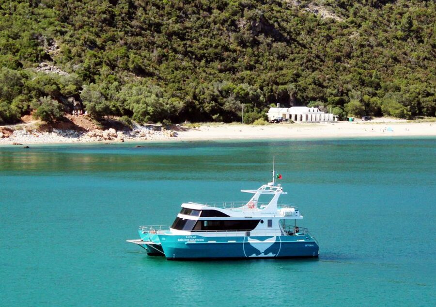 Setúbal: Dolphin Watching Tour - Key things I would prioritize on this tour