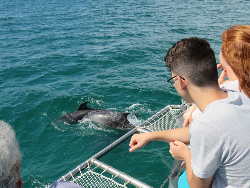 Setúbal: Dolphin Watching Tour - The catamaran setup: underwater rooms, stable ride, and real onboard comfort