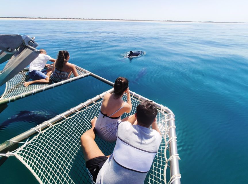 Setúbal: Dolphin Watching Tour - Who this tour suits best