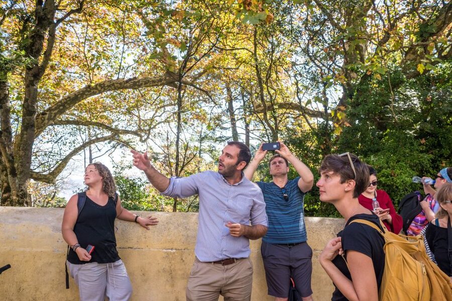 Sintra and Cascais Small Group Tour from Lisbon - Price and What This Tour Actually Includes