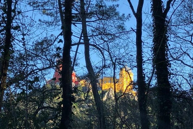 Sintra Cabo da Roca Cascais Estoril Private Tour - A full-day route that actually feels efficient, not rushed