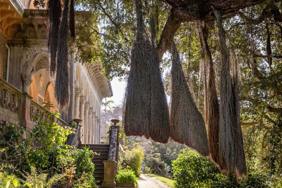 Sintra: Monserrate Palace & Park Ticket - Key Things to Know Before You Go