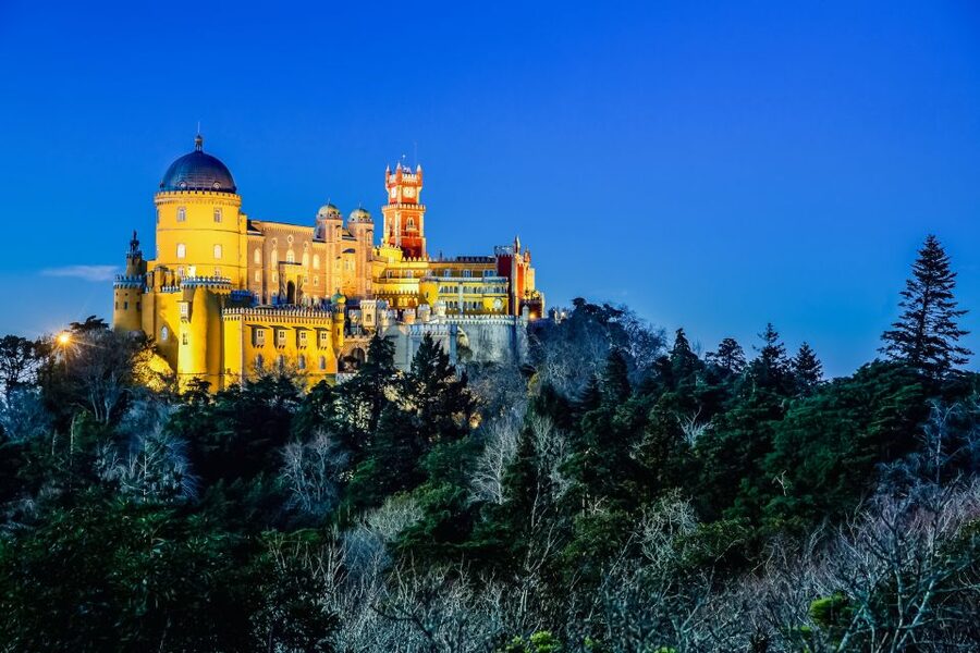Sintra: Pena Palace and Park Entrance Ticket - Pena Park Walking Routes: 30 Minutes to the Palace, 500+ Species to Enjoy