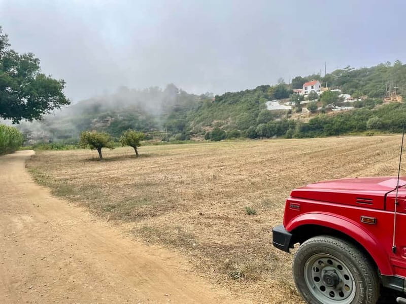 Sintra: Private Full-Day Sintra, Roca, and Cascais 4x4 Tour - Price and value: what $101 buys, and what you still need to budget
