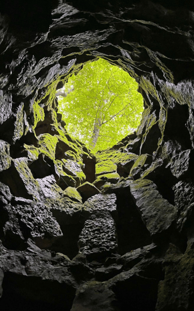 Sintra: Quinta da Regaleira Entry Tickets with Host - Who this is perfect for, and who should reconsider