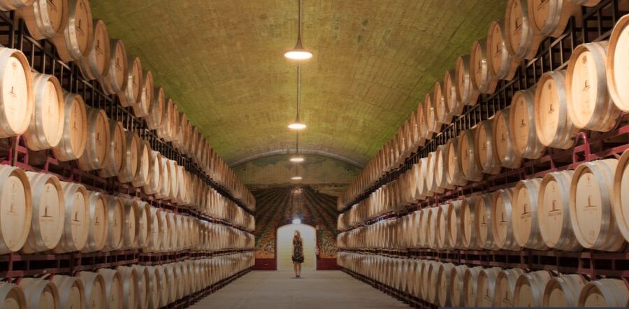 Wine Tasting - Private Half-Day Tour - Should you book this wine tasting and either tile factory or Arrabida Mountain tour?