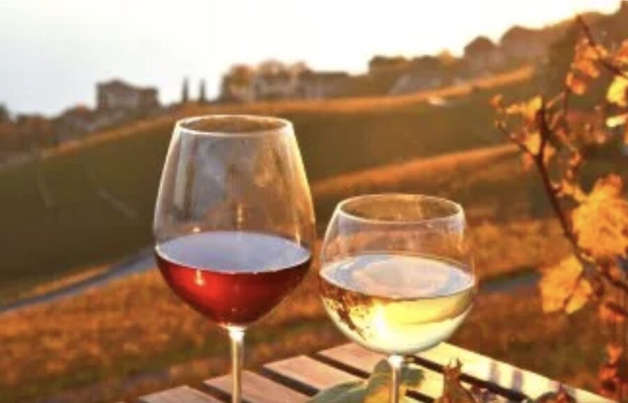 Wine Tasting - Private Half-Day Tour - The big moment: 3 hours of wine tasting in Setúbal