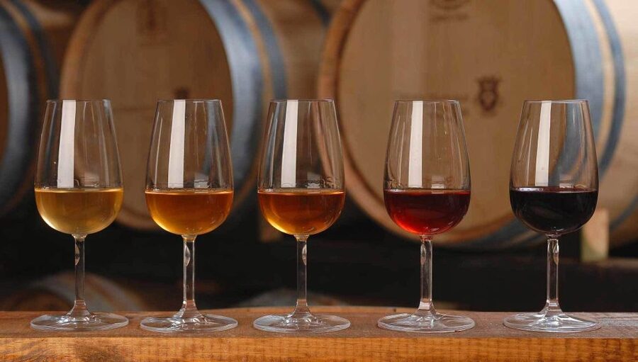 Wine Tasting - Private Half-Day Tour - Who this tour suits best (and who should skip it)